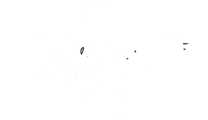 lovelacebaliwhite logo